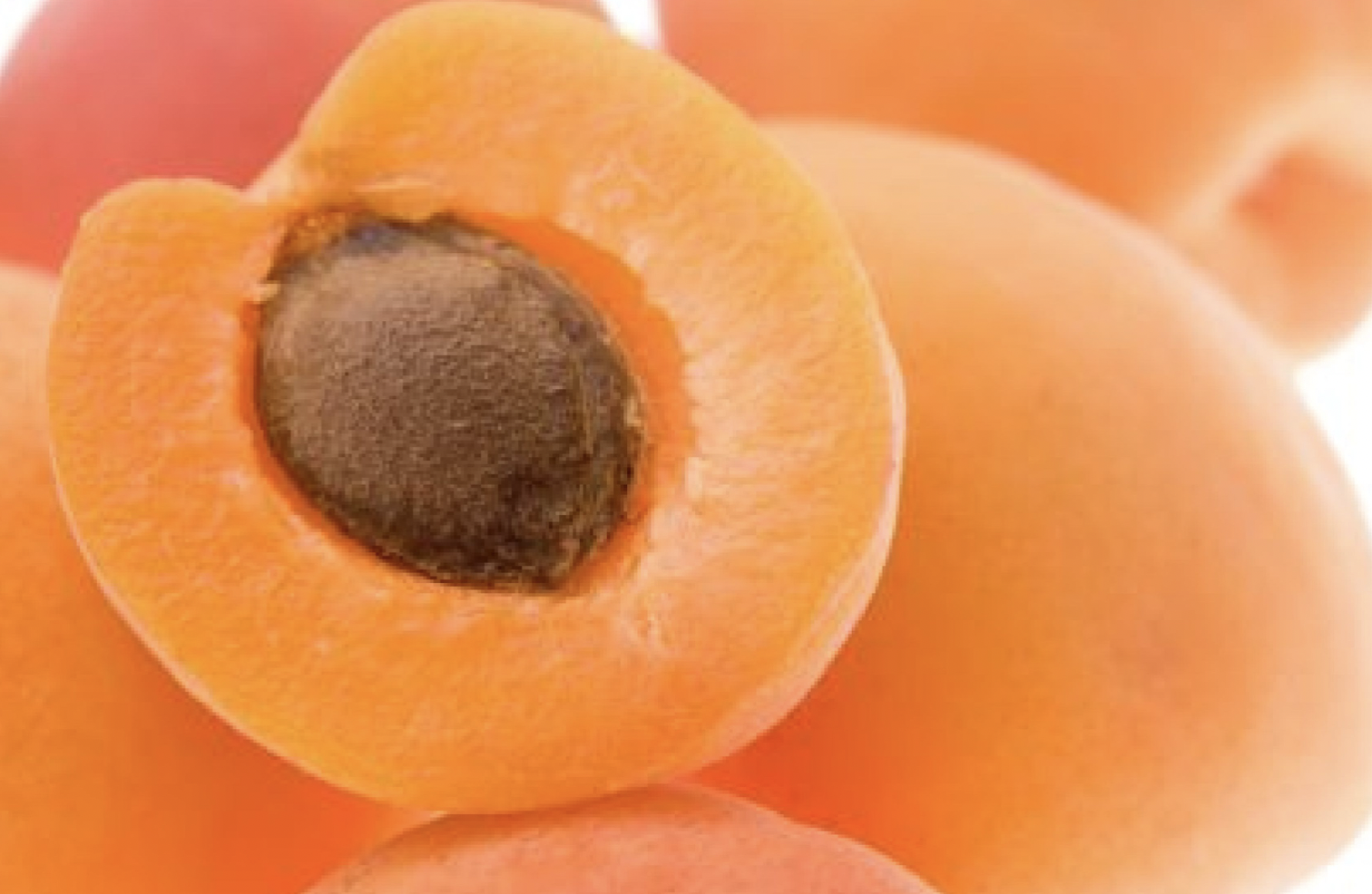 Pantone Color of the Year, Peach Fuzz