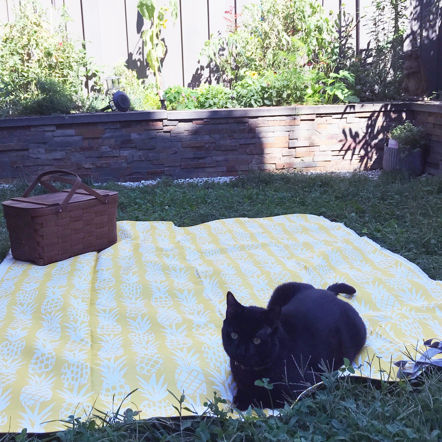 Litchfield Water Resistant Pineapple Picnic Blanket
