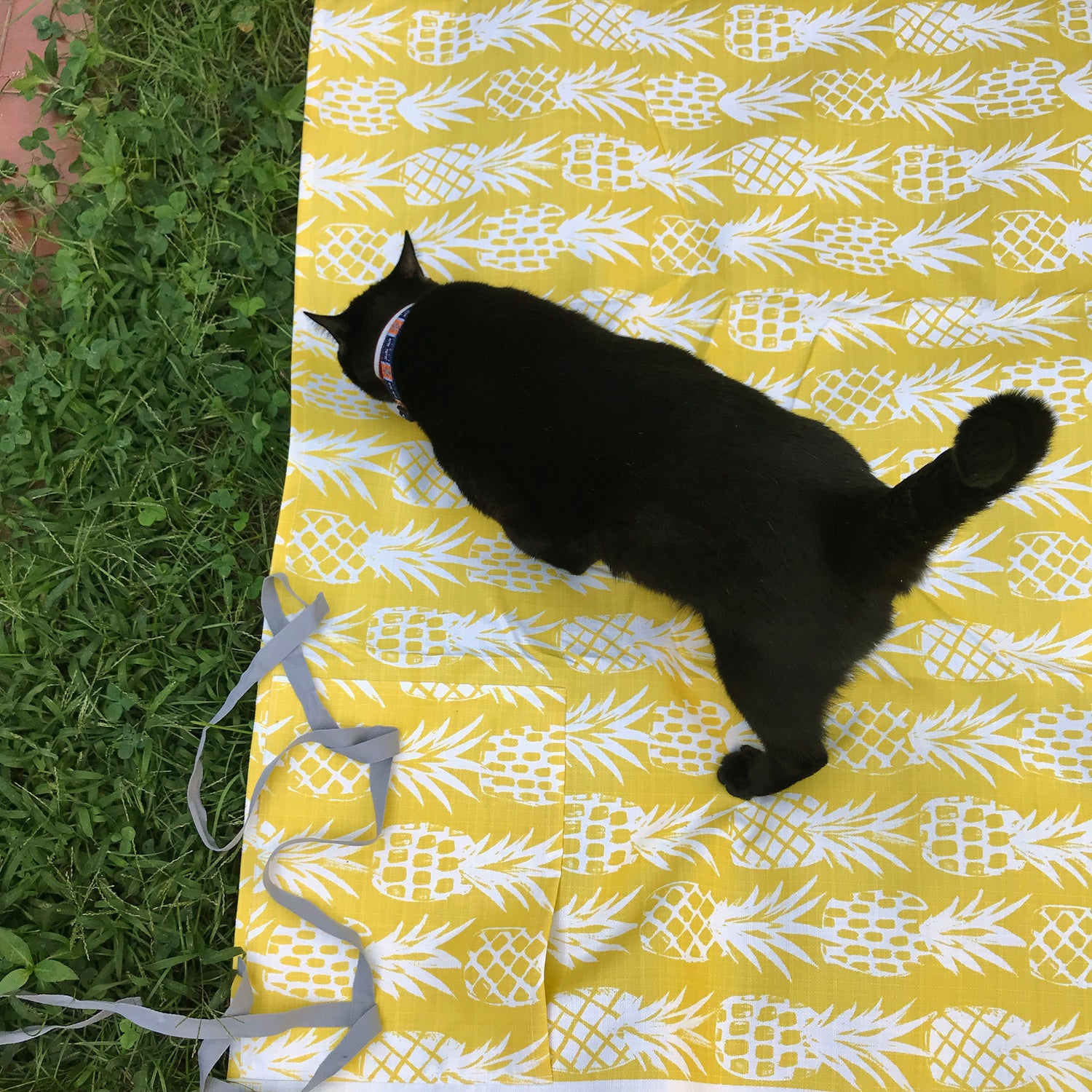 Litchfield Water Resistant Pineapple Picnic Blanket