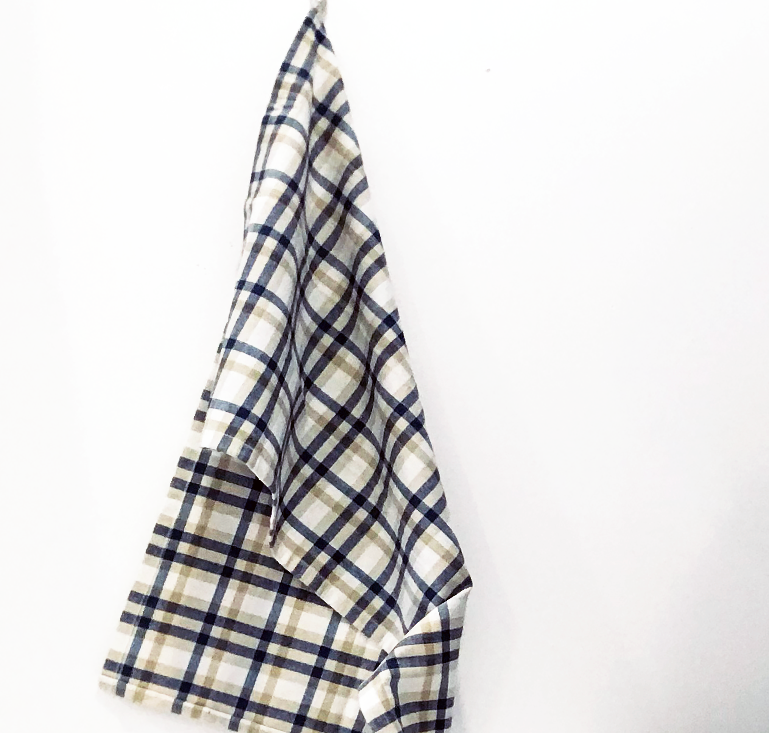 Blue Plaid Dish Towel