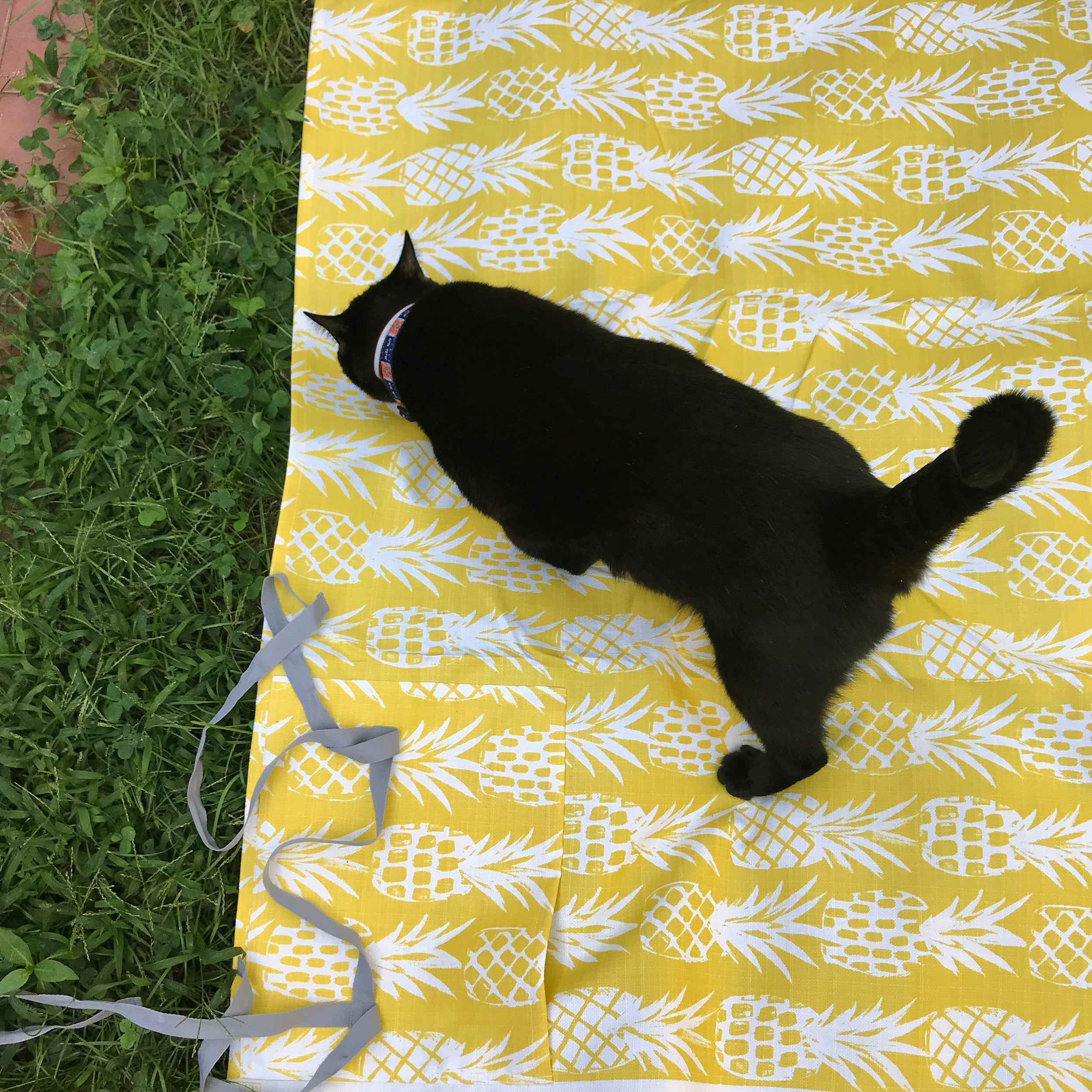 Litchfield Water Resistant Pineapple Picnic Blanket